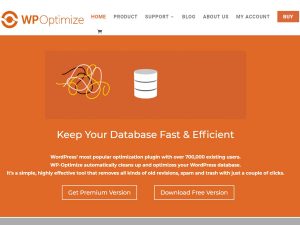WP-Optimize-plugin