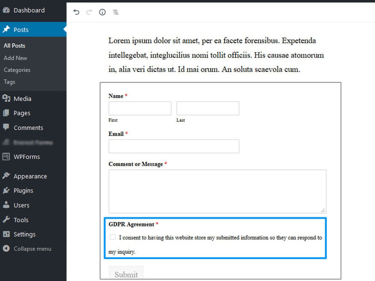 Add-GDPR-Form-to-WordPress-Posts-and-Pages