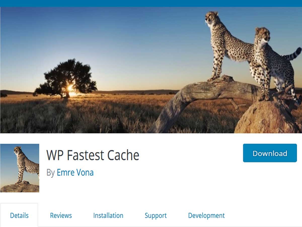 WP-Fastest-cache