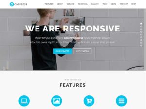 OnePress-Theme